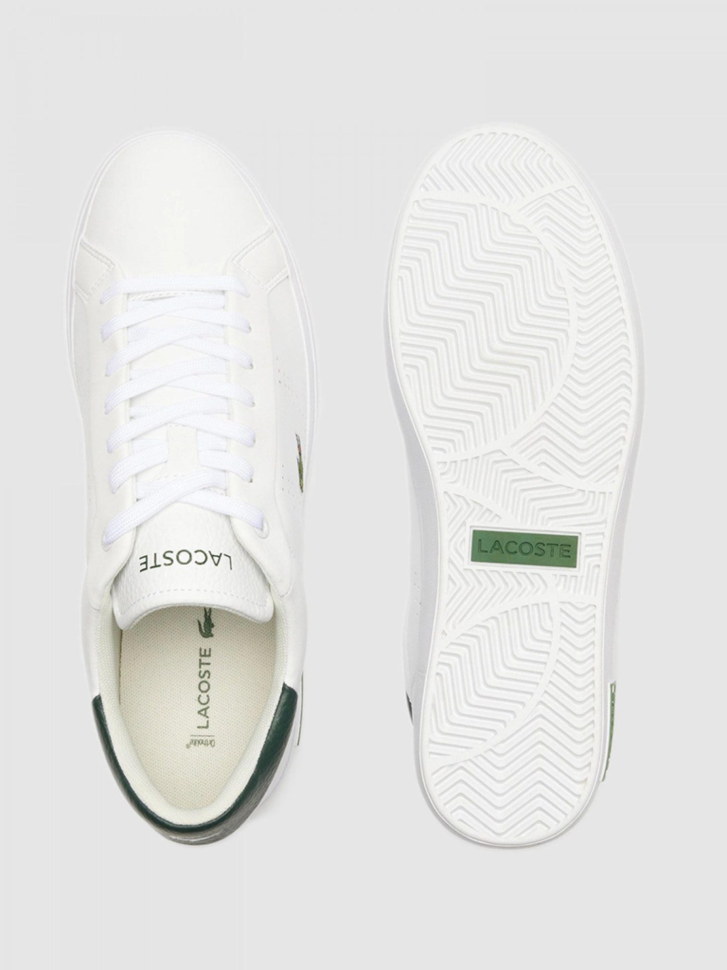 Lacoste Sapatilhas Em Pele Powercourt